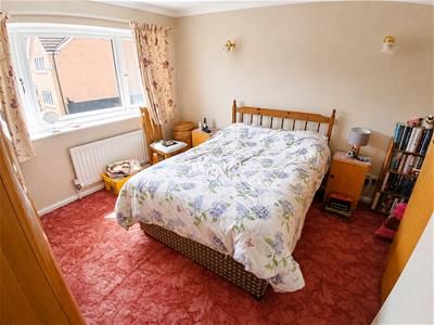 Picture 8